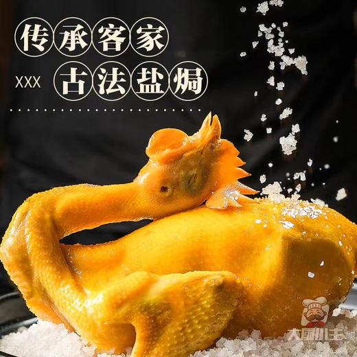 海南盐焗文昌鸡 约700g-900g/只 商品图3