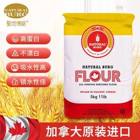高筋面粉10斤 5斤小麦粉圣地博格包子饺子馒头家用烘焙专用面包粉