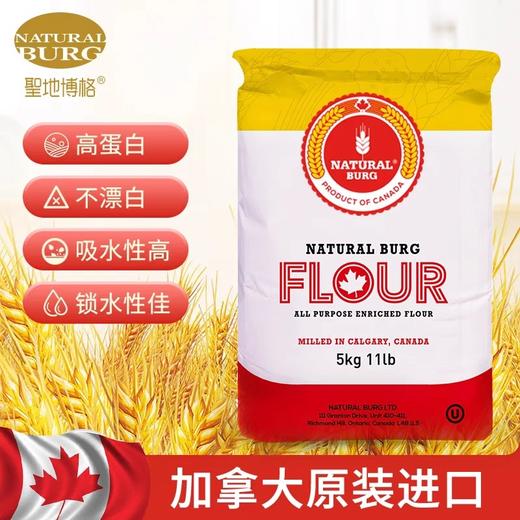 高筋面粉10斤 5斤小麦粉圣地博格包子饺子馒头家用烘焙专用面包粉 商品图0