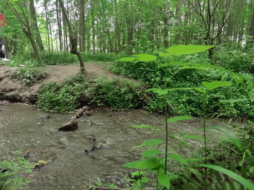 【崇州-389号院】7房小院，重庆路旁油菜花海，五星村湿地公园旁の花园露台、机麻烧烤、厨房mm 商品图3
