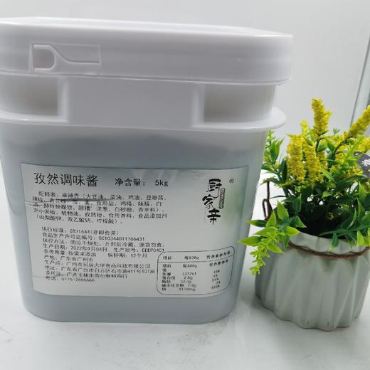 500g厨家亲俱乐部孜然调味酱（牛蛙、烤鱼）【4A-干11B】 商品图1