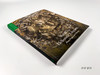Art of the Hellenistic Kingdoms: From Pergamon to Rome / 希腊化王国的艺术：从佩加蒙到罗马  商品缩略图1