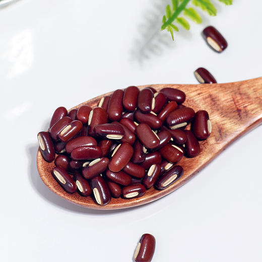 宜昌 秭归县【鑫勇泰】农家赤小豆450g/袋 商品图1