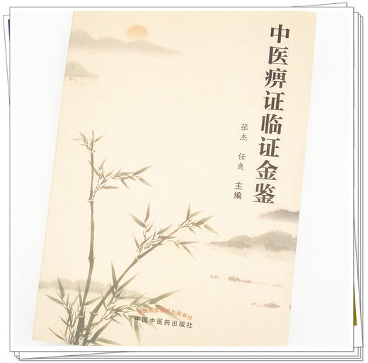 正版 现货【出版社直销】中医痹证临证金鉴 张杰 任爽 主编 中国中医药出版社 中医临床 书籍 商品图4