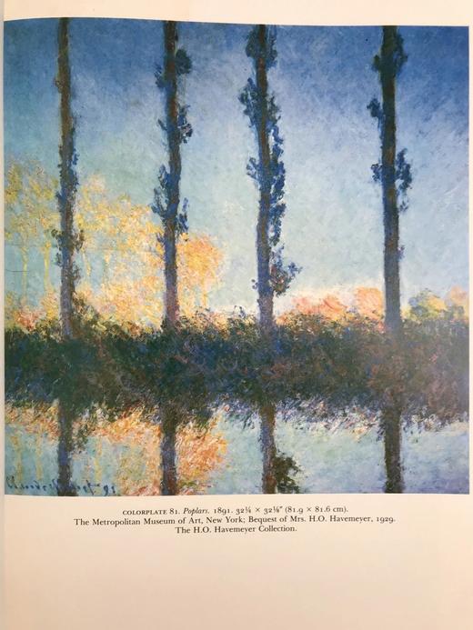 追忆莫奈 132幅彩色与119幅黑白插图 精装大16开 商品图6