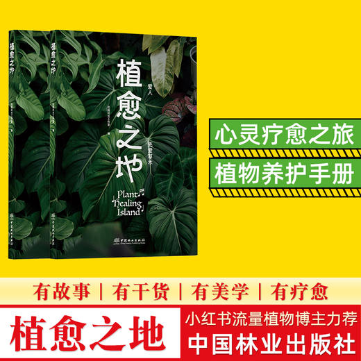 植愈之地  小红书流量植物博主力荐 2125 商品图0