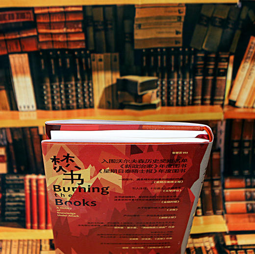 智慧宫022：焚书：知识的受难史   入围2021年沃尔夫森历史奖短名单 商品图2