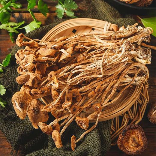宜昌 秭归县农家茶树菇250g 商品图1