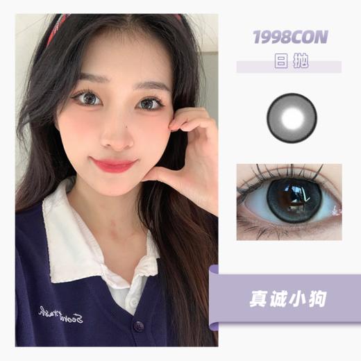 真诚小狗（1day抛型） 商品图0