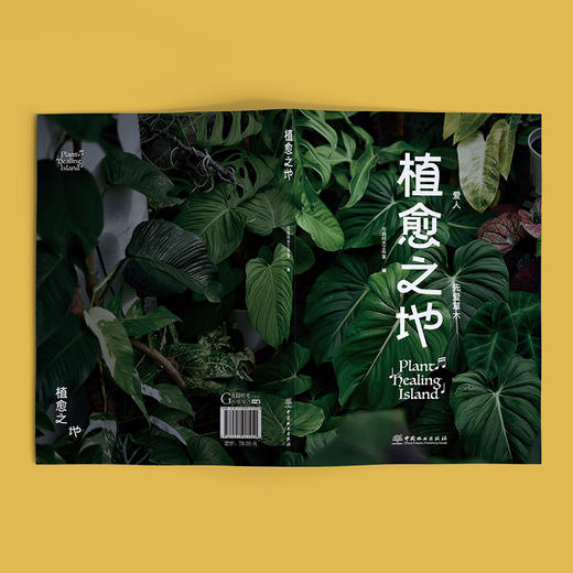 植愈之地  小红书流量植物博主力荐 2125 商品图5