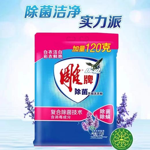 雕牌除菌无磷洗衣粉880g+120g 商品图0
