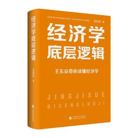 王东京 经济学 底层逻辑 西方经济理论 经济思维方式  解决经济问题 大国发展