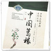 正版 现货【出版社直销】中国葛根 徐立 主编（中华名优中药系列丛书）中国中医药出版社 中药学 中医 书籍 商品缩略图4