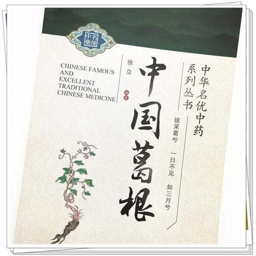 正版 现货【出版社直销】中国葛根 徐立 主编（中华名优中药系列丛书）中国中医药出版社 中药学 中医 书籍 商品图4