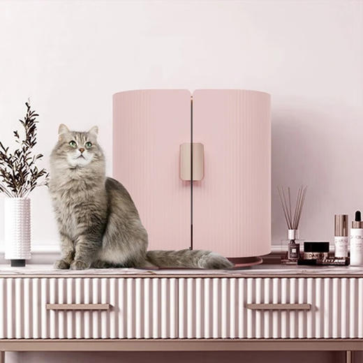 Leader美妆冰箱 9升小仙贝iCase智能WIFI超薄三档变温小型迷你神器冰家用 宿舍 化妆护肤品保鲜 底部制冷 珊瑚粉MZ-9WLLSDZ0PPU1 商品图2