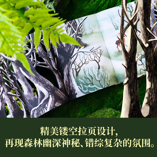 小鹿斑比  世界儿童文学经典 商品图6