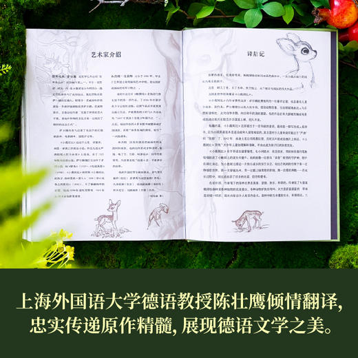 小鹿斑比  世界儿童文学经典 商品图5