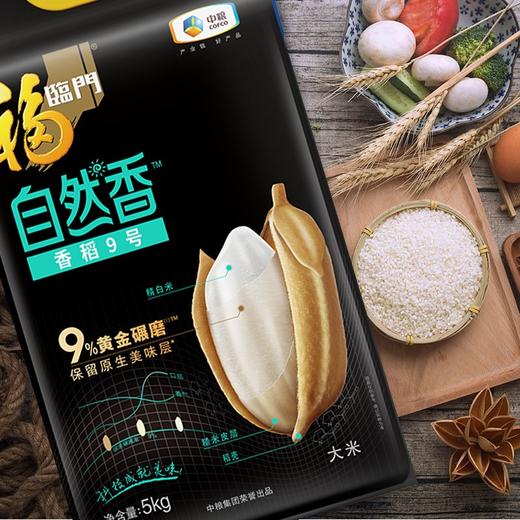 福临门自然香香稻9号大米（水印版）5KG 商品图1