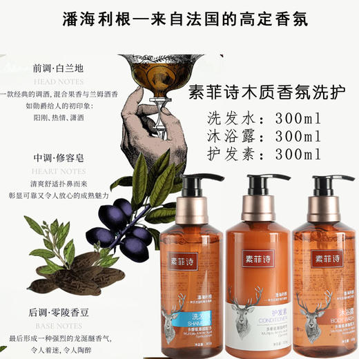 素菲诗潘海利根木质香型洗发水持久留香沐浴露维也纳酒店同款 商品图2