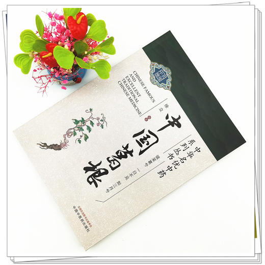 正版 现货【出版社直销】中国葛根 徐立 主编（中华名优中药系列丛书）中国中医药出版社 中药学 中医 书籍 商品图2