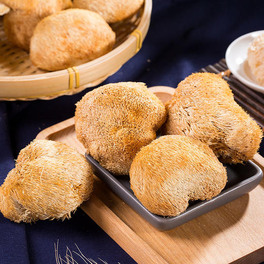 宜昌 秭归县三峡高山猴头菇250g 商品图2