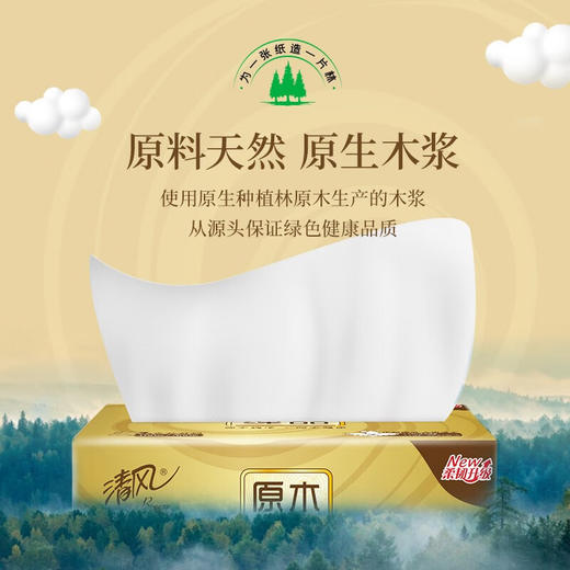 清风120抽3层金装原木10连包纸巾 商品图7