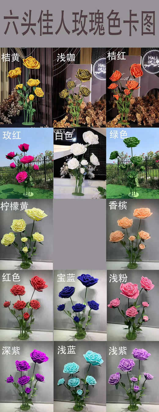 6头佳人玫瑰（运费自理） 商品图6