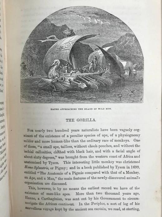 约19世纪后期 自然罗曼司 约百幅木版画插图 漆布精装大32开 商品图14