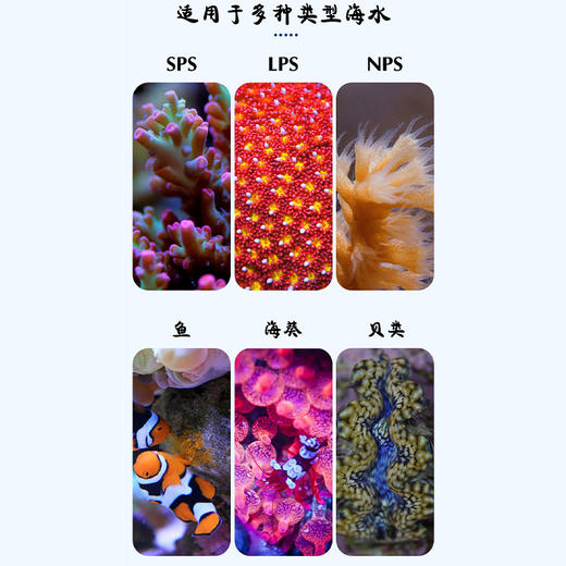 Ecsenius 因克塞斯 海水/珊瑚盐 20KG 商品图3