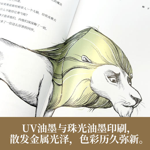 绿野仙踪 世界儿童文学经典 商品图4