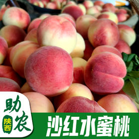 【陕西】沙红水蜜桃10斤（自然生态果，现摘现发）
