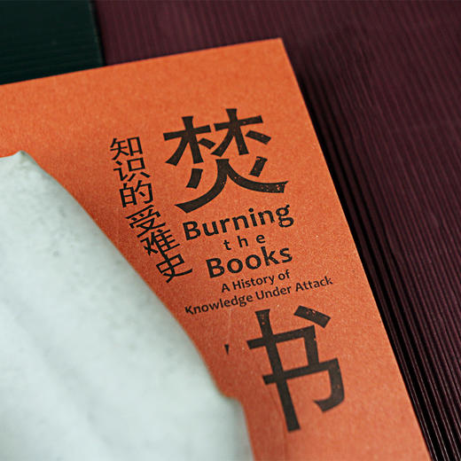 智慧宫022：焚书：知识的受难史   入围2021年沃尔夫森历史奖短名单 商品图4