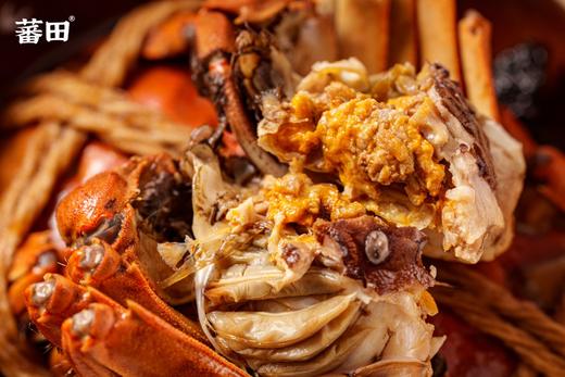 花雕蟹 醉美六月黄 单只1.6-1.8两左右，每盒6只装 商品图0