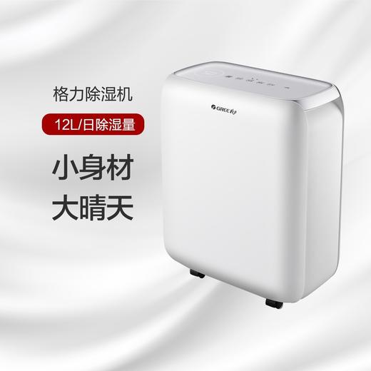 格力除湿机 12L/日除湿量 小身材 大晴天 DH12EN 商品图0