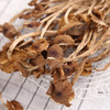 宜昌 秭归县农家茶树菇250g 商品缩略图4