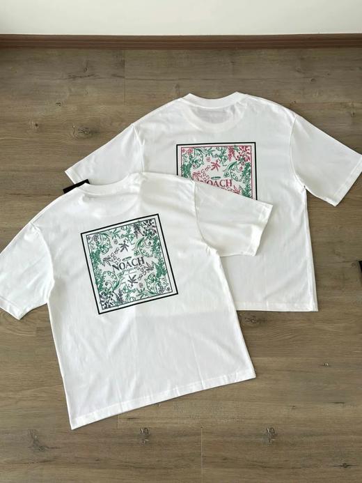 可隆情侣款NOACH环保户外运动短袖T恤 商品图3