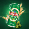 青岛啤酒听装（500ml) 商品缩略图1