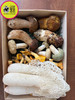 云南野生菌【山珍礼盒6种混搭】火锅宴🉑全国快递【包邮】（内含黄牛肝、鸡枞菌、白葱牛肝、青头菌、谷熟菌、鸡油菌、奶浆菌、竹荪等） 商品缩略图3