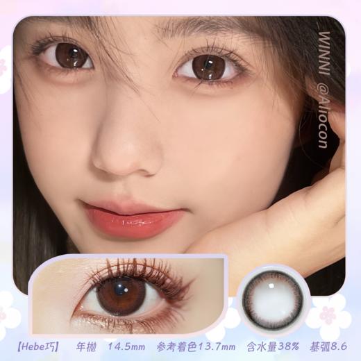 *Winni温妮Hebe choco巧 14.5mm【年抛1片】 商品图0