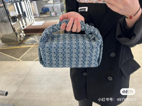 Aw大王丝绸饭盒包