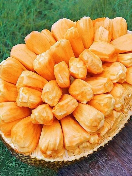 越南红肉菠萝蜜 商品图1