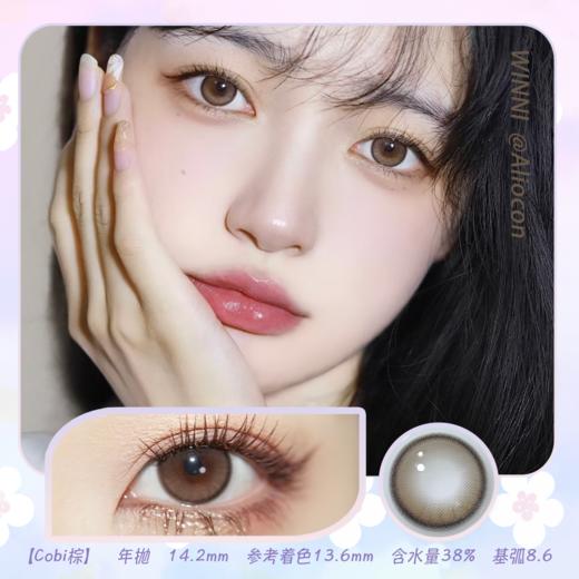 *Winni温妮cobi 棕/黑 14.2mm【年抛1片】 商品图0