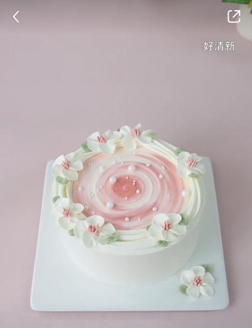 10寸来图定制（杨梅酸奶油） 商品图0