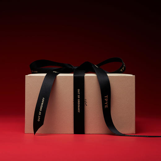 沏派飞行沏茶便携茶具礼盒户外旅游茶器茶叶伴手礼网红小众送男友 商品图2