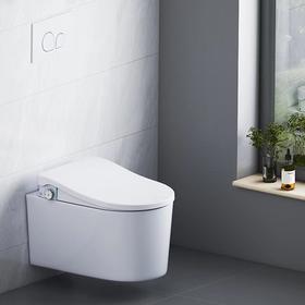 帝富龙 智能坐便器 挂便带水箱 简配两脚 8065