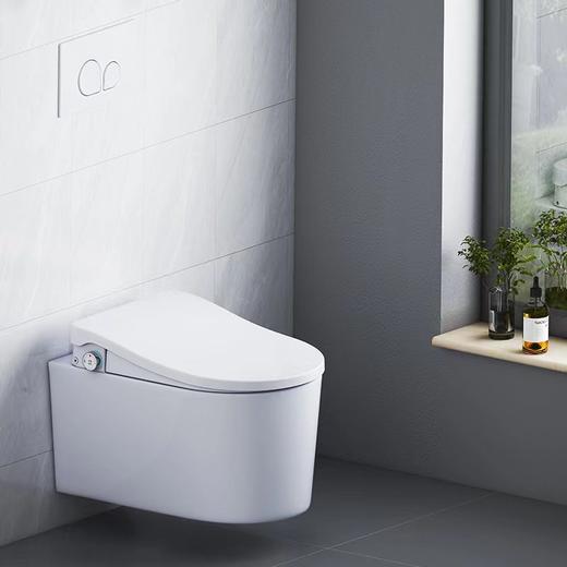 帝富龙 智能坐便器 挂便带水箱 简配两脚 8065 商品图0