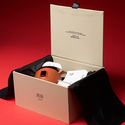 沏派飞行沏茶便携茶具礼盒户外旅游茶器茶叶伴手礼网红小众送男友 商品图4