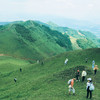 成人徒步 | 3.15周日寻甸凤龙山，草原徒步当日往返， 打卡高山草甸云端牧场，看昆明小新西兰！ 商品缩略图8