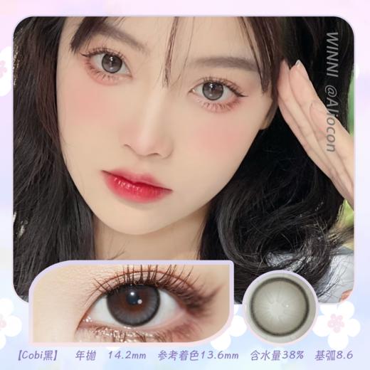 *Winni温妮cobi 棕/黑 14.2mm【年抛1片】 商品图1