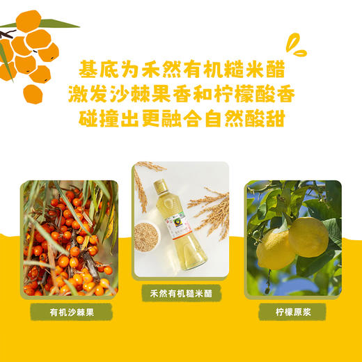禾然有机油醋汁沙拉汁 纯净配方 商品图9